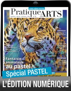 TELECHARGEMENT :  PASTEL Pratique des Arts Hors-série n°56