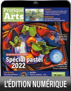 TÉLÉCHARGEMENT : Spécial Pastel hors-série n°59 - Pratique des Arts 
