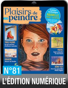 TÉLÉCHARGEMENT du magazine Plaisirs de Peindre n°81 version numérique