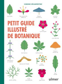 Petit illustré de botanique - Corinne Decarpentrie - Ulmer - Achat livre sur Divertistore