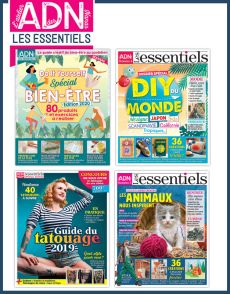 Spécial LES ESSENTIELS du DIY - Collection de 4 magazines 2