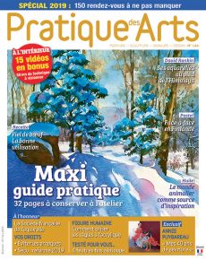 magazine Pratique des Arts n°144 - Avec un maxi Guide Pratique