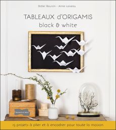 Tableaux d'Origamis - black & white - Didier Boursin - Anne Loiseau - Dessain et Tolra - Achat livre sur Divertistore.com