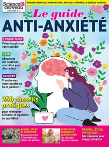 Le guide de l'anxiété - Hors-série Science et Cerveau - Diverti éditions