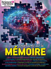 Tout savoir sur la mémoire - Secrets du cerveau et pouvoirs cachés - Science et cerveau HS n°6 - Magazine de Diverti Editions