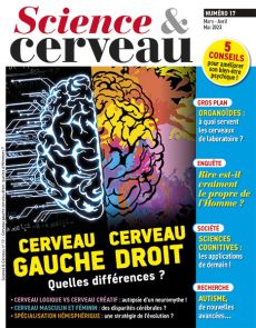 magazine science et cerveau - différence entre cerveau gauche et cerveau droit - Divertistore - Diverti Editions