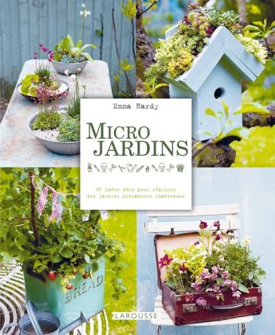 Micro jardins - 35 idées déco pour réaliser des jardins miniatures  inattendus - Emma Hardy