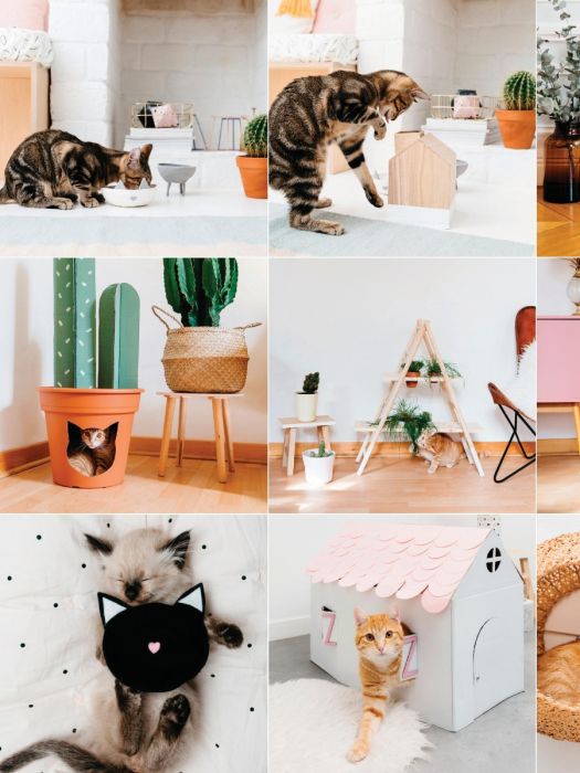 Maison pour chat à faire soi-même : des idées à moindre coût pour