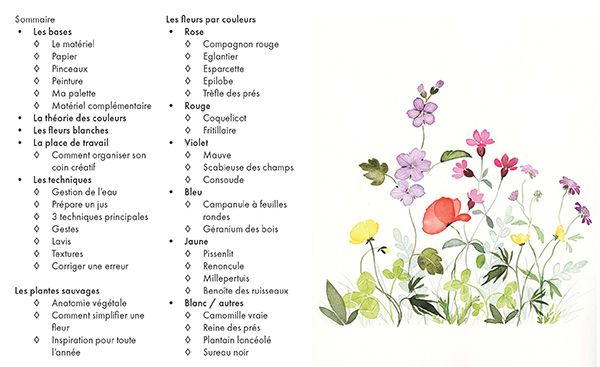 Aquarelle Fleurs des champs - Reconnaitre & peindre la poésie de