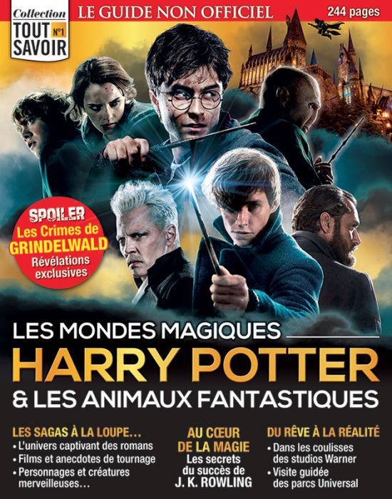 Les éditions 20 ans de Harry Potter : bientôt La Chambre Des