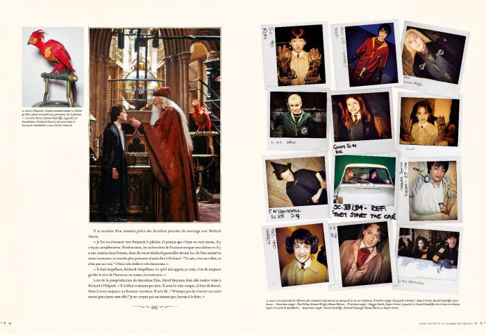 La collection Harry Potter au cinéma Tome 10 : villages et maisons de  sorciers - Jody Revenson - Huginn & Muninn - Grand format - Chez mon  libraire