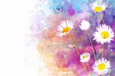 Beaux-Arts : Peindre des fleurs à l'aquarelle - conseils pour débutants